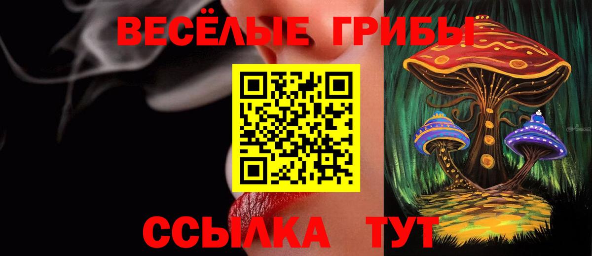 Галлюциногенные грибы прущие грибы Лениногорск
